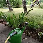Flaemingpanorama - Laendliches Gartenhaus Mit Kamin Und Naturpanorama Hébergement de vacances