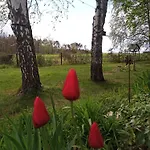 Flaemingpanorama - Laendliches Gartenhaus Mit Kamin Und Naturpanorama Hébergement de vacances Niedergorsdorf