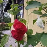 Hébergement de vacances Flaemingpanorama - Laendliches Gartenhaus Mit Kamin Und Naturpanorama
