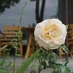 Flaemingpanorama - Laendliches Gartenhaus Mit Kamin Und Naturpanorama Holiday home Niedergorsdorf