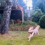 Flaemingpanorama - Laendliches Gartenhaus Mit Kamin Und Naturpanorama *