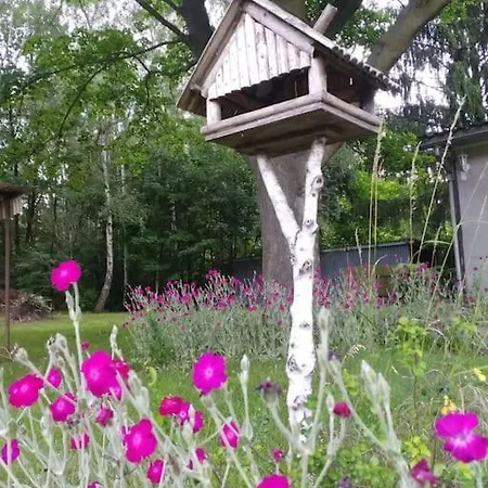 בית נופש Flaemingpanorama - Laendliches Gartenhaus Mit Kamin Und Naturpanorama