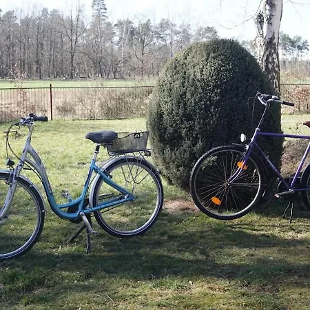 Flaemingpanorama - Laendliches Gartenhaus Mit Kamin Und Naturpanorama 1200 Qm Komplett Umzaeunt *