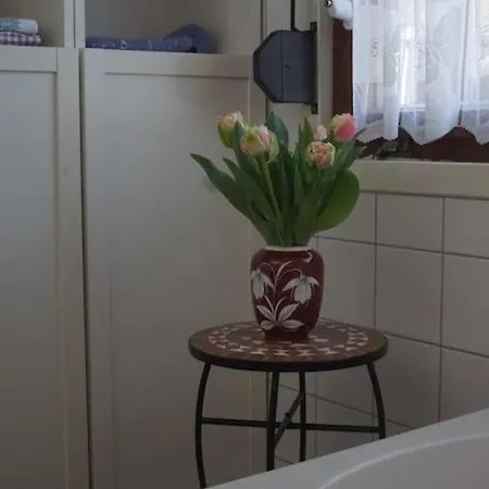 Flaemingpanorama - Laendliches Gartenhaus Mit Kamin Und Naturpanorama בית נופש Niedergorsdorf