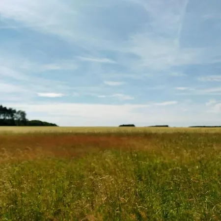 Flaemingpanorama - Laendliches Gartenhaus Mit Kamin Und Naturpanorama * Niedergorsdorf
