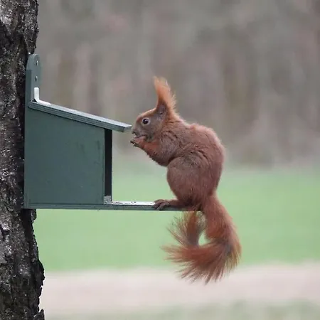 Flaemingpanorama - Laendliches Gartenhaus Mit Kamin Und Naturpanorama Сasa de vacaciones *