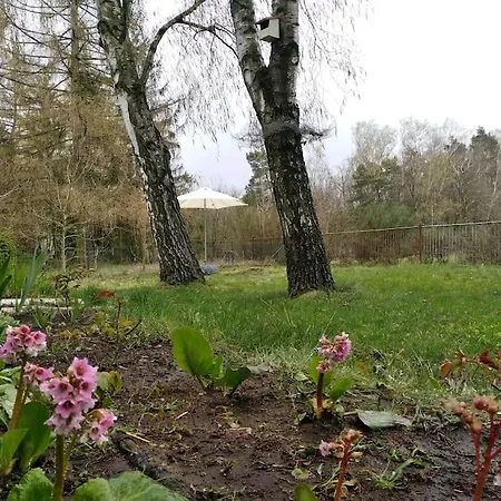 Flaemingpanorama - Laendliches Gartenhaus Mit Kamin Und Naturpanorama Holiday home Niedergorsdorf