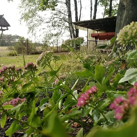 Flaemingpanorama - Laendliches Gartenhaus Mit Kamin Und Naturpanorama Holiday home *