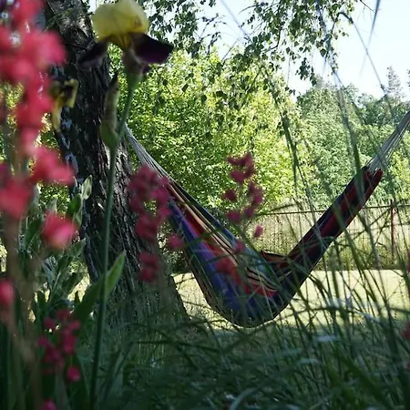 Holiday home Flaemingpanorama - Laendliches Gartenhaus Mit Kamin Und Naturpanorama Niedergorsdorf