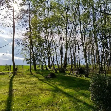Holiday home Flaemingpanorama - Laendliches Gartenhaus Mit Kamin Und Naturpanorama Niedergorsdorf