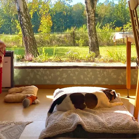 Flaemingpanorama - Laendliches Gartenhaus Mit Kamin Und Naturpanorama *