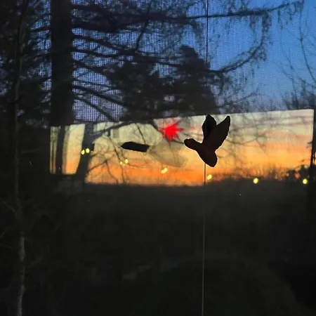 בית נופש Flaemingpanorama - Laendliches Gartenhaus Mit Kamin Und Naturpanorama Niedergorsdorf