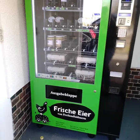 Flaemingpanorama - Laendliches Gartenhaus Mit Kamin Und Naturpanorama Niedergorsdorf