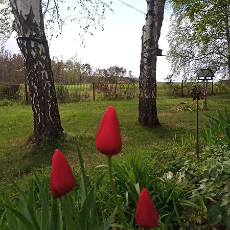Flaemingpanorama - Laendliches Gartenhaus Mit Kamin Und Naturpanorama בית נופש Niedergorsdorf