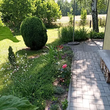 Holiday home Flaemingpanorama - Laendliches Gartenhaus Mit Kamin Und Naturpanorama Niedergorsdorf