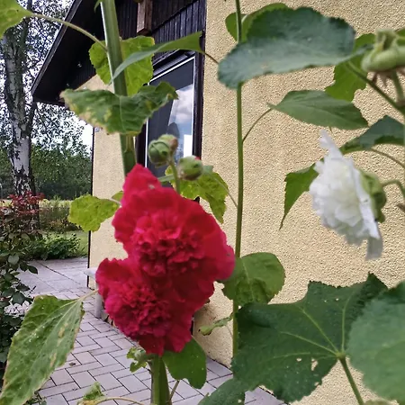 בית נופש Flaemingpanorama - Laendliches Gartenhaus Mit Kamin Und Naturpanorama