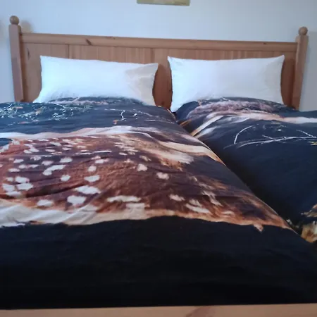 Flaemingpanorama - Laendliches Gartenhaus Mit Kamin Und Naturpanorama בית נופש Niedergorsdorf