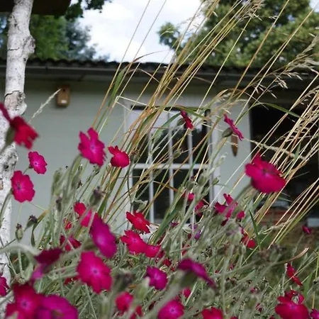 Flaemingpanorama - Laendliches Gartenhaus Mit Kamin Und Naturpanorama * Niedergorsdorf