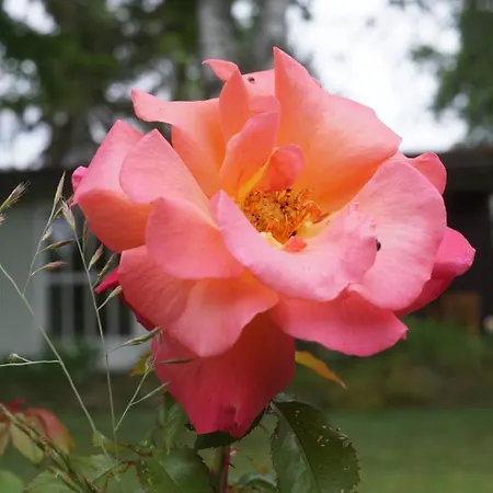 Flaemingpanorama - Laendliches Gartenhaus Mit Kamin Und Naturpanorama