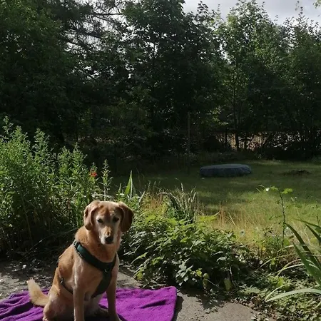 Flaemingpanorama - Laendliches Gartenhaus Mit Kamin Und Naturpanorama בית נופש *