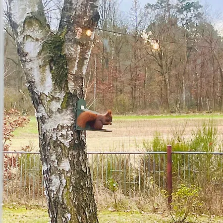 בית נופש Flaemingpanorama - Laendliches Gartenhaus Mit Kamin Und Naturpanorama Niedergorsdorf