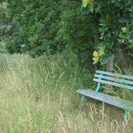 Flaemingpanorama - Laendliches Gartenhaus Mit Kamin Und Naturpanorama 1200 Qm Komplett Umzaeunt Holiday home *