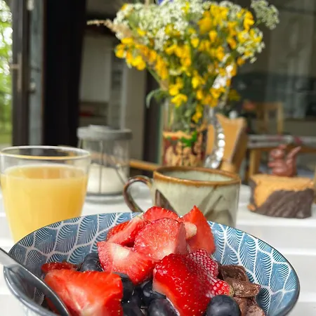 Flaemingpanorama - Laendliches Gartenhaus Mit Kamin Und Naturpanorama