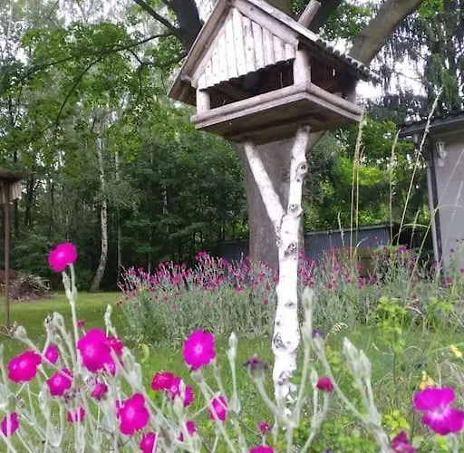 Hébergement de vacances Flaemingpanorama - Laendliches Gartenhaus Mit Kamin Und Naturpanorama