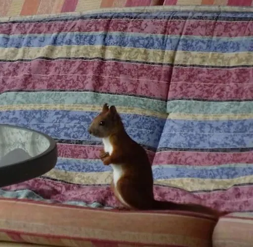 Hébergement de vacances Flaemingpanorama - Laendliches Gartenhaus Mit Kamin Und Naturpanorama *