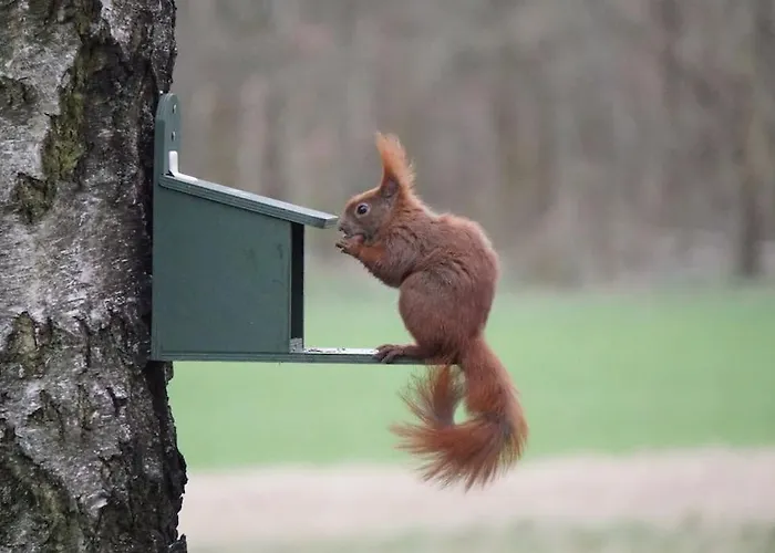 Flaemingpanorama - Laendliches Gartenhaus Mit Kamin Und Naturpanorama Casa vacanze *