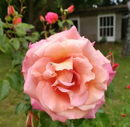 Flaemingpanorama - Laendliches Gartenhaus Mit Kamin Und Naturpanorama *