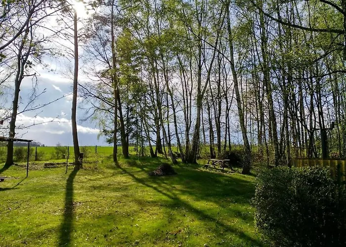 Hébergement de vacances Flaemingpanorama - Laendliches Gartenhaus Mit Kamin Und Naturpanorama Niedergorsdorf