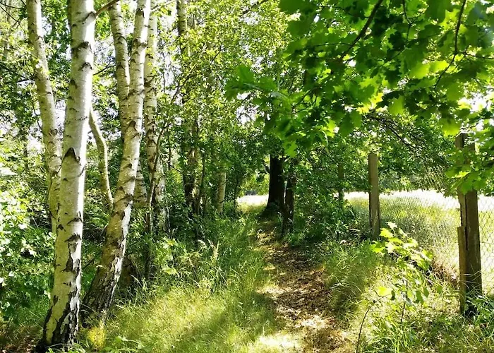 Flaemingpanorama - Laendliches Gartenhaus Mit Kamin Und Naturpanorama Hébergement de vacances