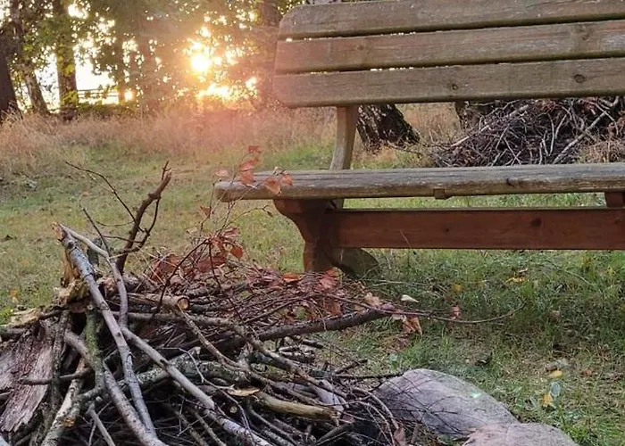 Hébergement de vacances Flaemingpanorama - Laendliches Gartenhaus Mit Kamin Und Naturpanorama Niedergorsdorf