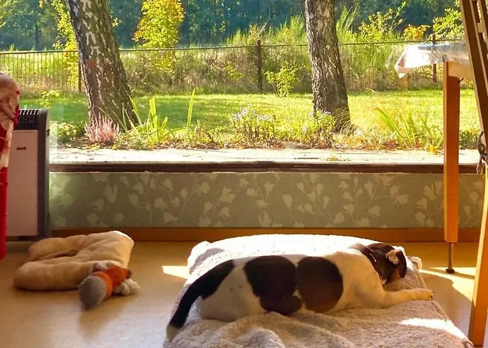 Flaemingpanorama - Laendliches Gartenhaus Mit Kamin Und Naturpanorama *