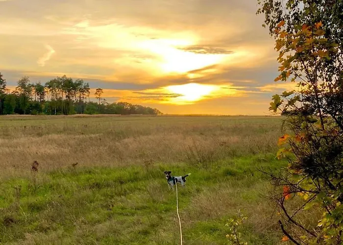 Flaemingpanorama - Laendliches Gartenhaus Mit Kamin Und Naturpanorama بيت للعطل *