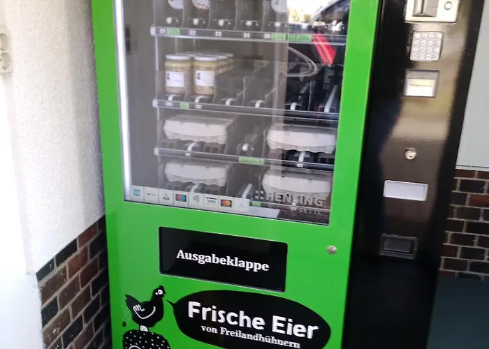 Flaemingpanorama - Laendliches Gartenhaus Mit Kamin Und Naturpanorama Niedergorsdorf