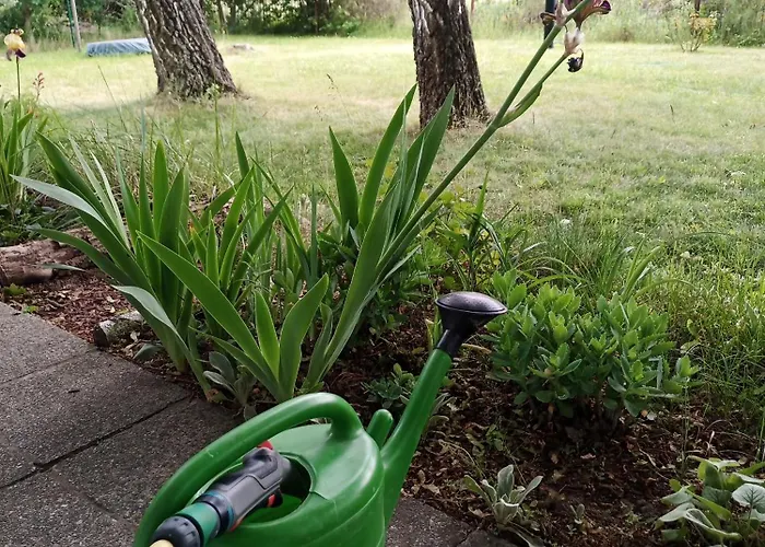 Flaemingpanorama - Laendliches Gartenhaus Mit Kamin Und Naturpanorama Hébergement de vacances