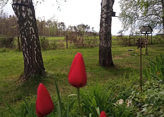 Flaemingpanorama - Laendliches Gartenhaus Mit Kamin Und Naturpanorama Hébergement de vacances Niedergorsdorf