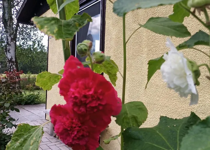 Casa vacanze Flaemingpanorama - Laendliches Gartenhaus Mit Kamin Und Naturpanorama