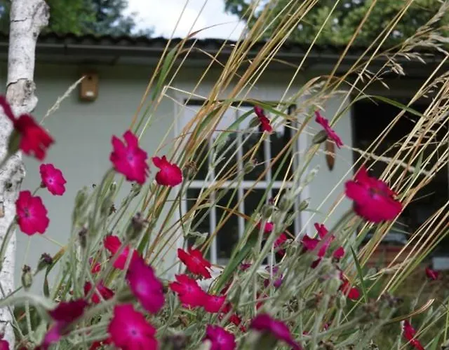 Flaemingpanorama - Laendliches Gartenhaus Mit Kamin Und Naturpanorama * Niedergorsdorf