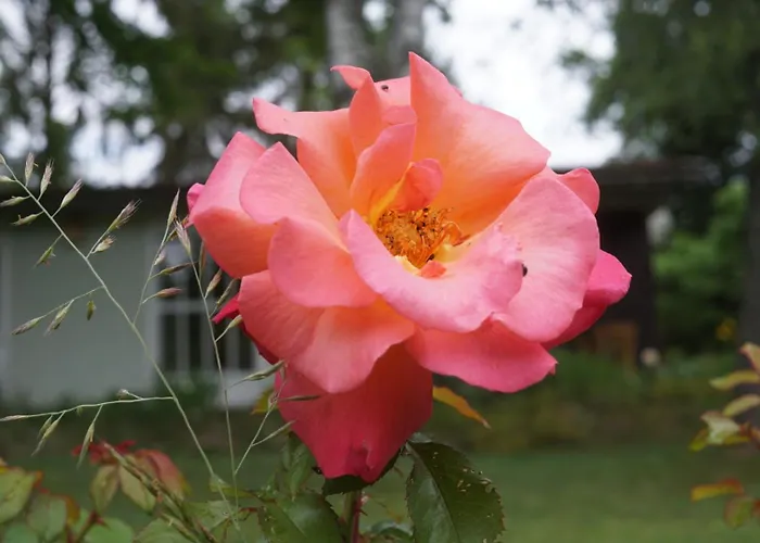 Flaemingpanorama - Laendliches Gartenhaus Mit Kamin Und Naturpanorama