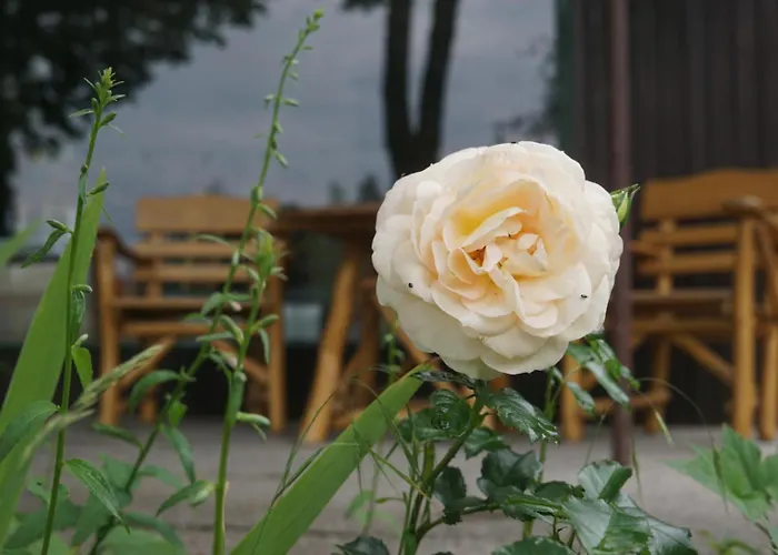 Flaemingpanorama - Laendliches Gartenhaus Mit Kamin Und Naturpanorama Hébergement de vacances Niedergorsdorf