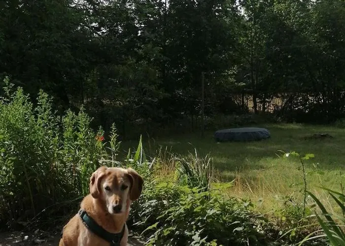 Flaemingpanorama - Laendliches Gartenhaus Mit Kamin Und Naturpanorama بيت للعطل *
