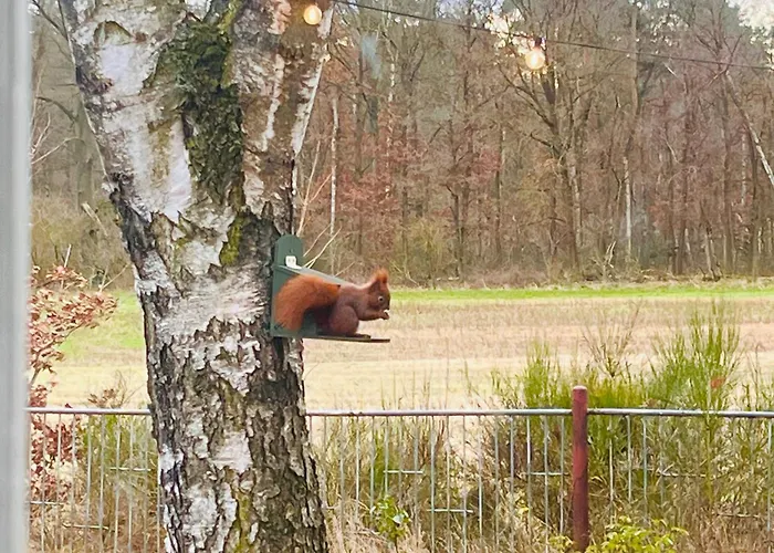 بيت للعطل Flaemingpanorama - Laendliches Gartenhaus Mit Kamin Und Naturpanorama Niedergorsdorf