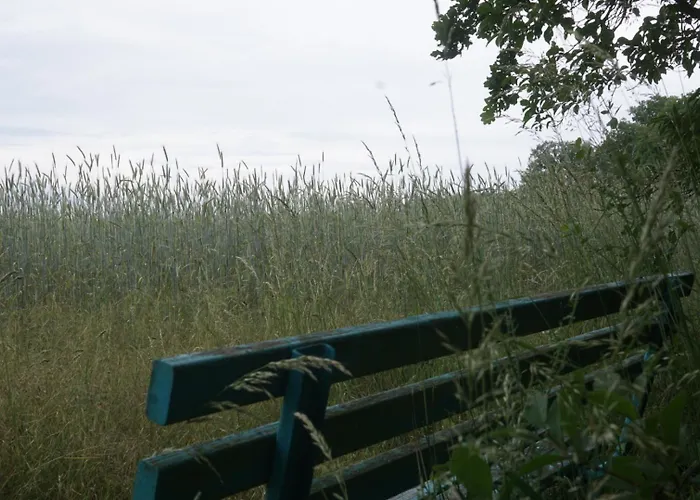 Flaemingpanorama - Laendliches Gartenhaus Mit Kamin Und Naturpanorama * Niedergorsdorf