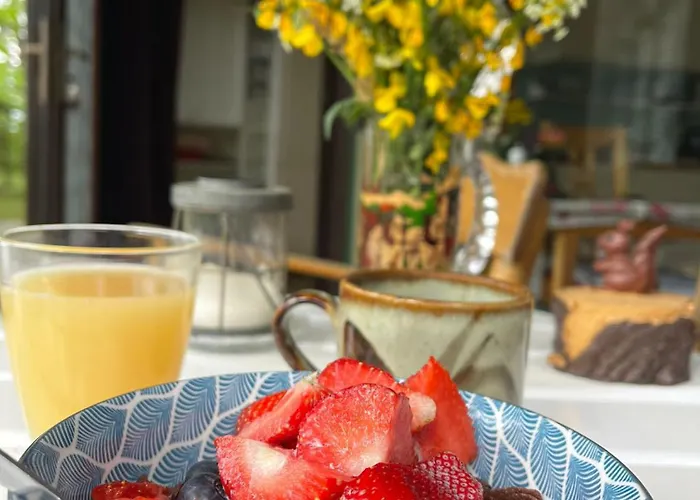 Flaemingpanorama - Laendliches Gartenhaus Mit Kamin Und Naturpanorama