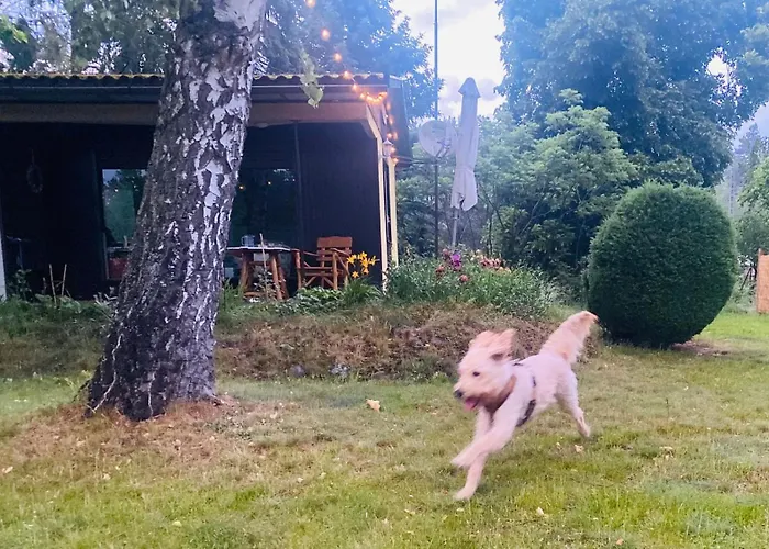 Flaemingpanorama - Laendliches Gartenhaus Mit Kamin Und Naturpanorama *